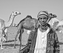 Ali; Omdurman camel market
