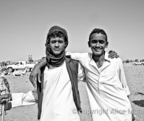 Hamid & Ali, Omdurman camel market