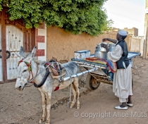 Hamid the milkman, Wad al-Bakheet; Omdurman