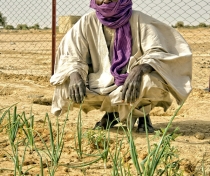 Bilal