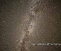 Desert stars....
