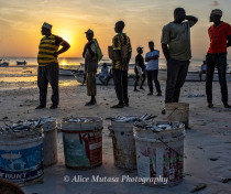 Kizimkazi dawn fish auction
