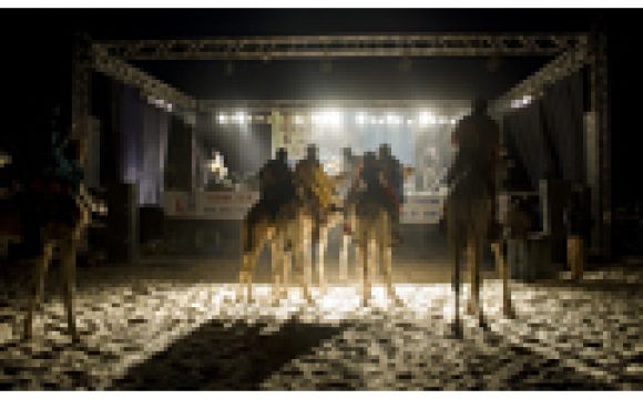 ‘Festival au Desert 2011′ – Official Photos now online