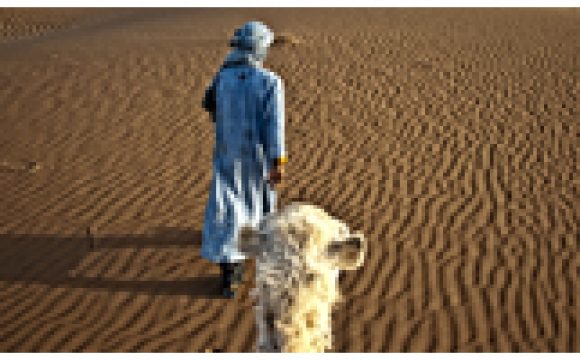 New photos of Morocco – South & Sahara